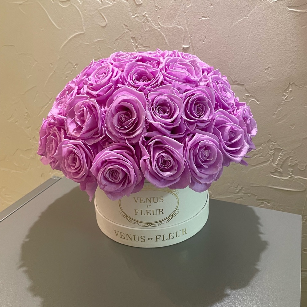 Venus et fleur purple roses with white box